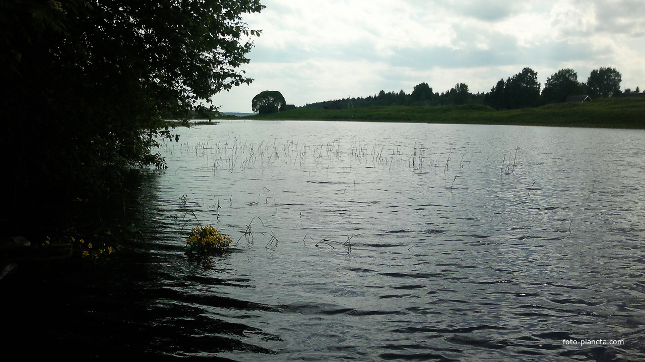 озеро около деревни Гоголево