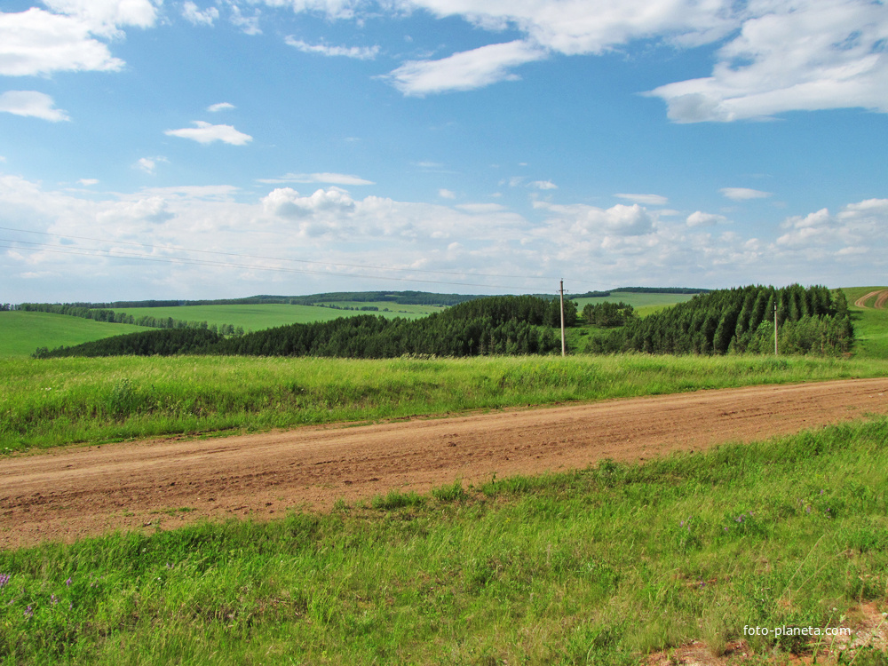 Дорога ведёт в Алтаево