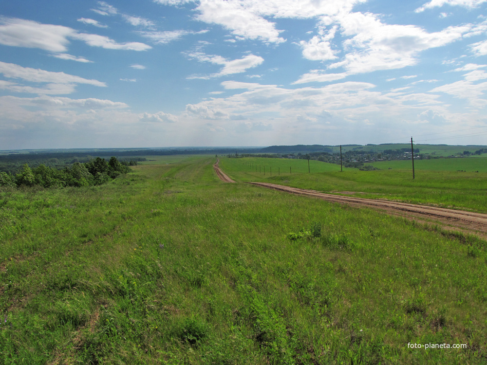 Дорога из Алтаево