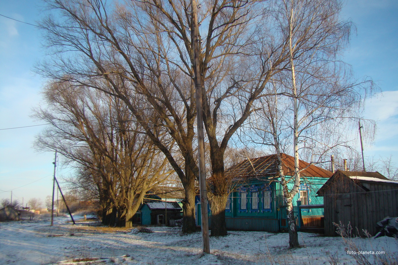 Улица Первомайская. Старые ветлы