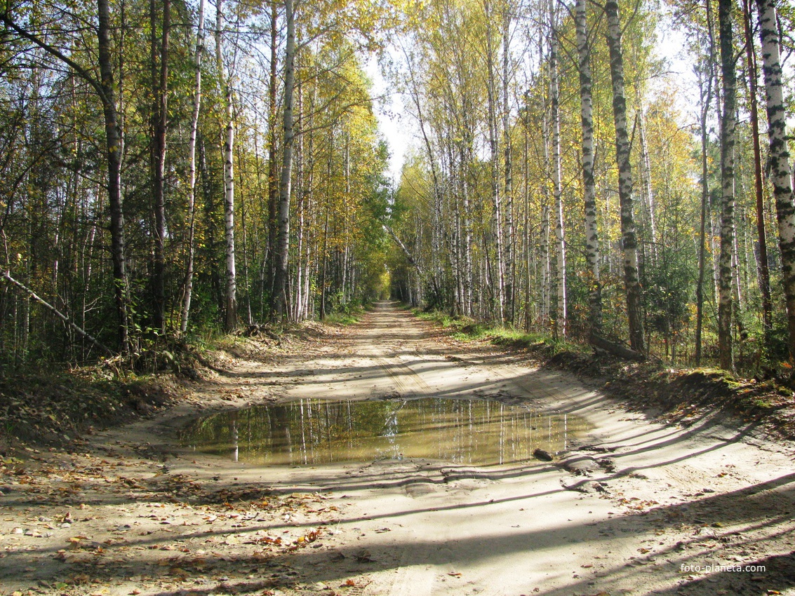 Дорого в Каймар из Старого Синдрова