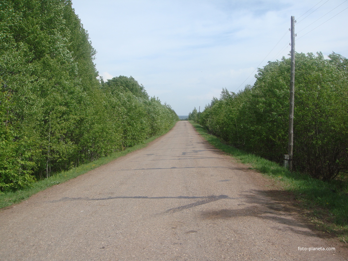 Дорога в деревню Большуха