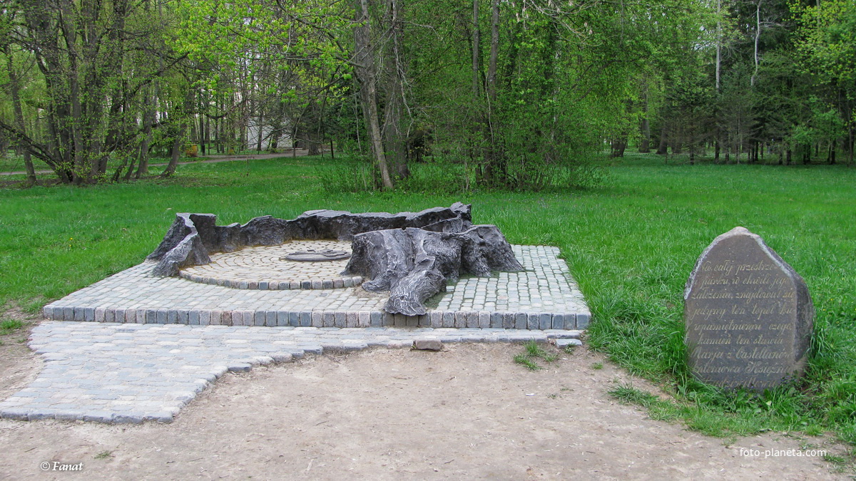 Памятник тополю-гиганту