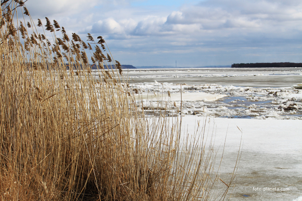 Черный Яр. Северная Двина в апреле.