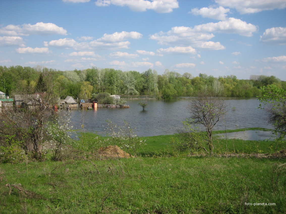 Разлив реки Вороны в д. Андриановка