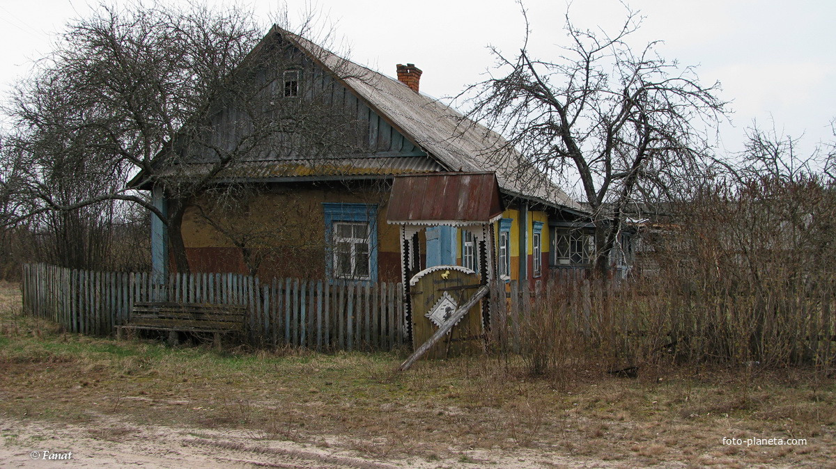 Дом на окраине | Забозье (Ельский район) | Фотопланета