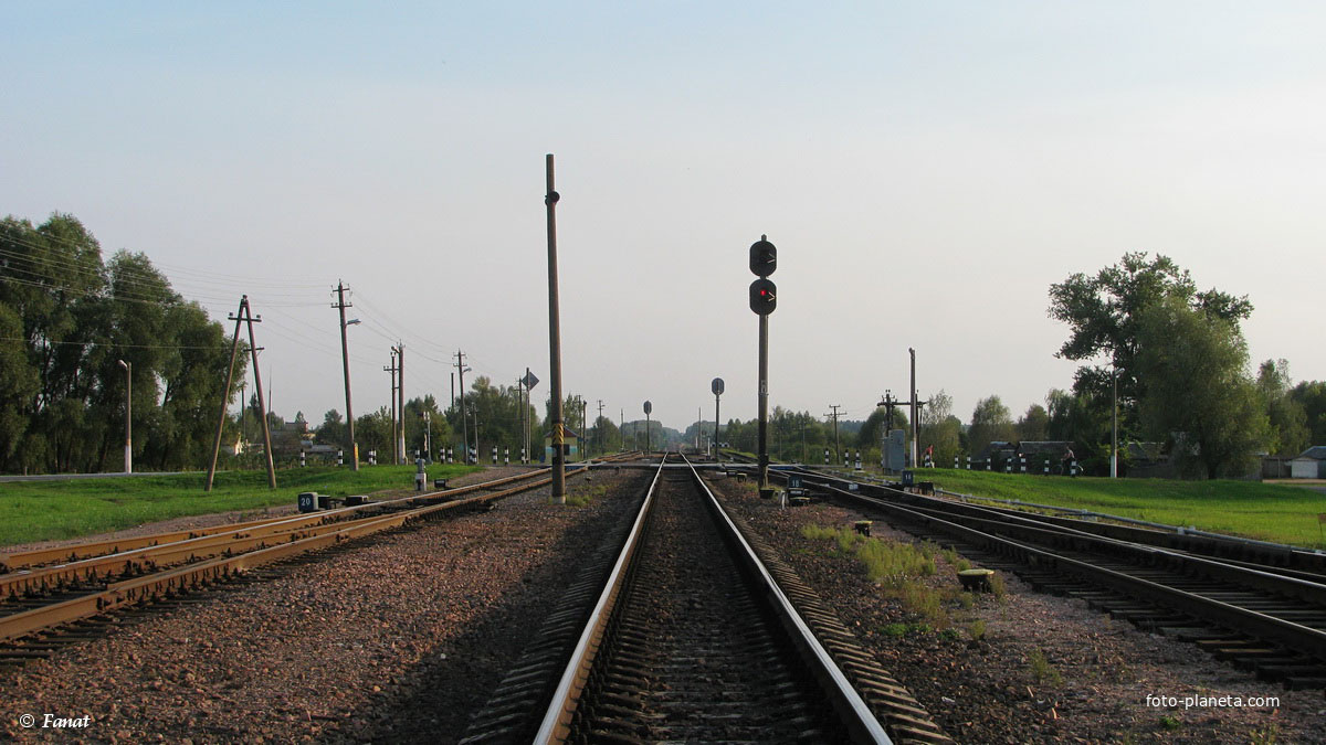 Станция Ельск, вид в сторону Словечно