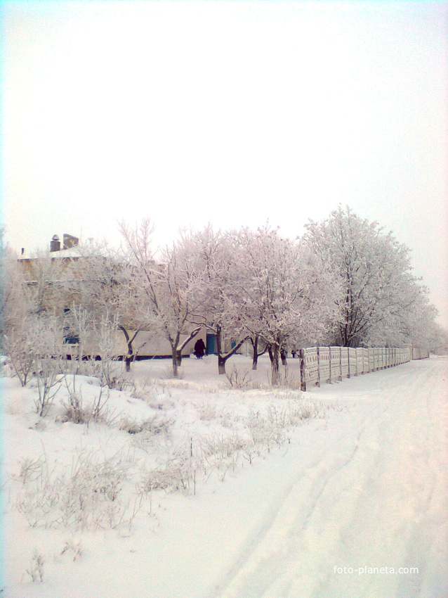Школа  в зимовому убранні
