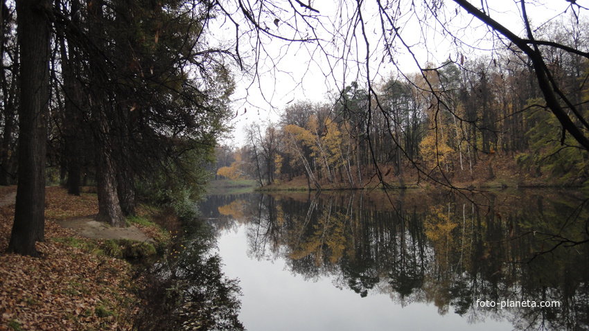 Лесной Загорьевский пруд