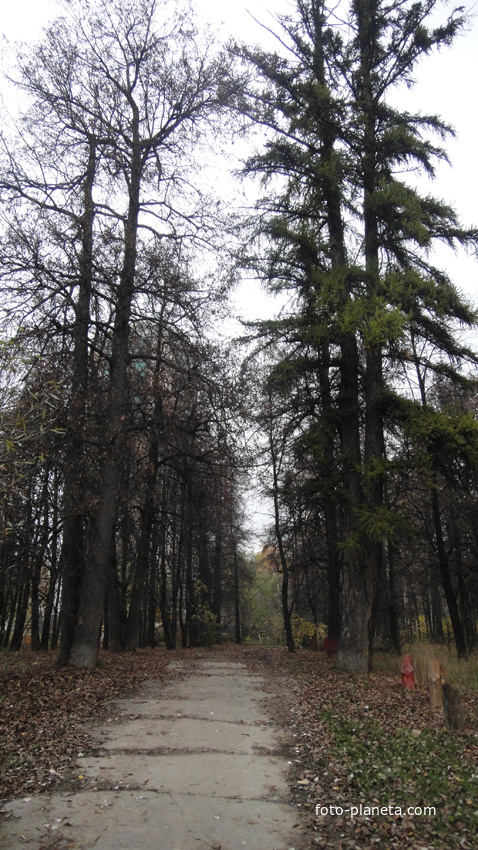 Загорьевский парк