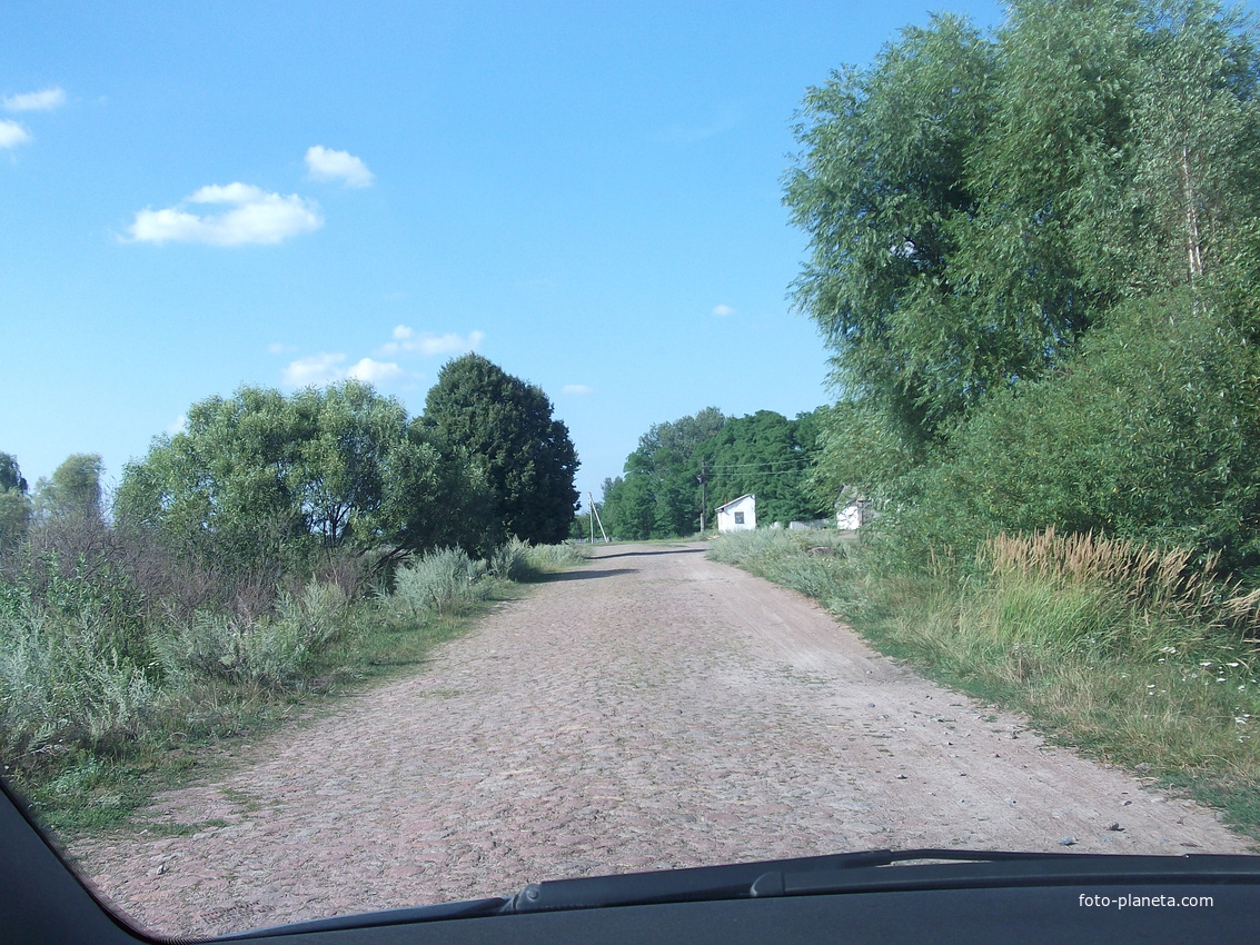Дорога через бывший колхоз лето 2012