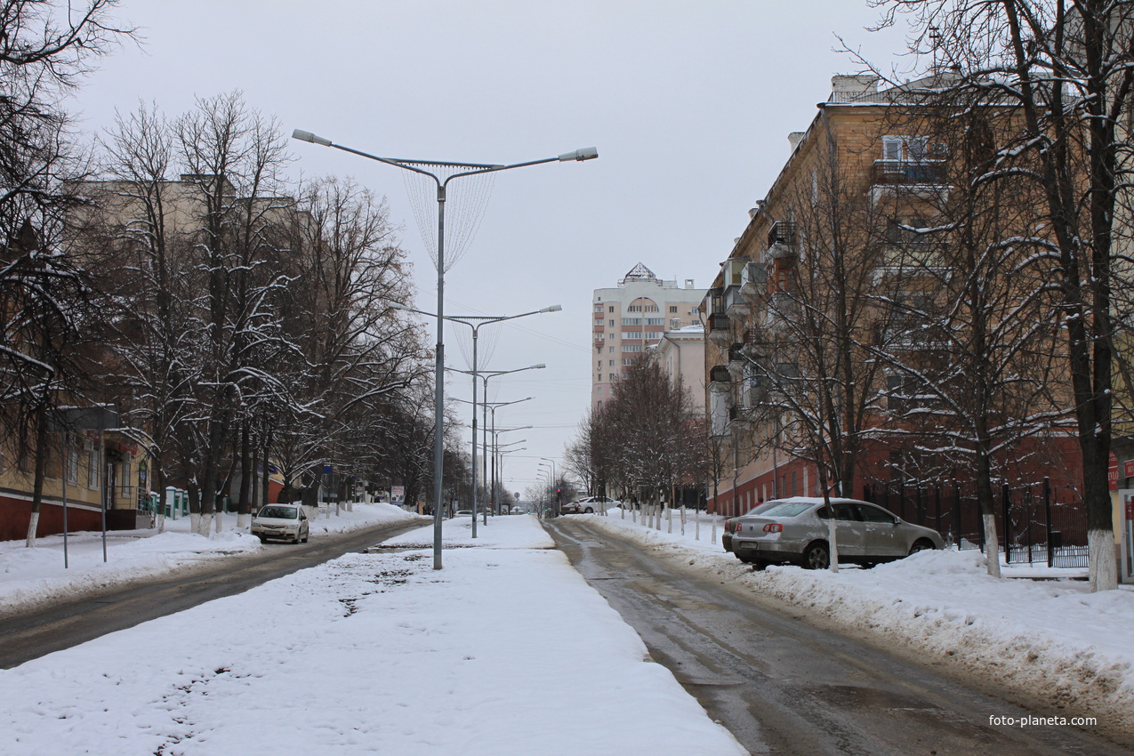 Белгород. Ул. 50-летия Белгородской области.