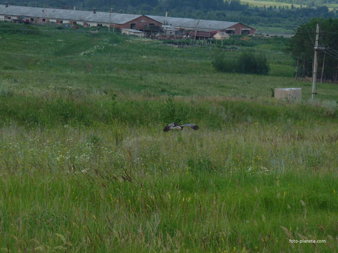 Лежебоково