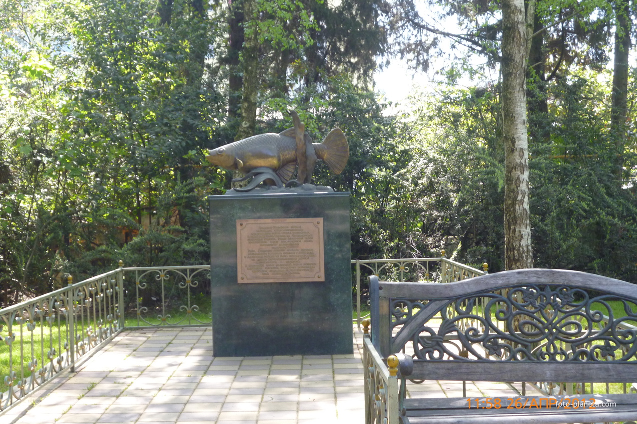 Памятник гамбузии,маленькой рыбке,победившей малярию