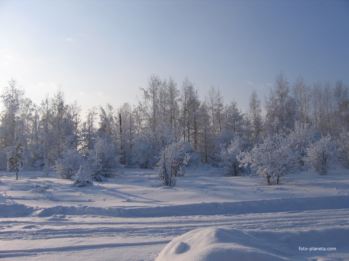 Зима во Владимировке
