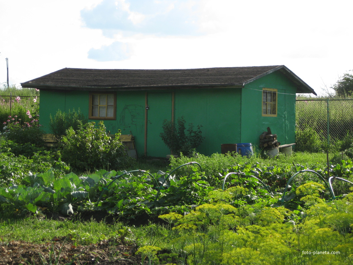 летник в катышево