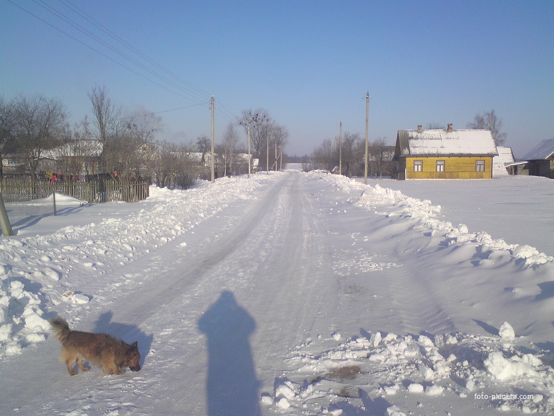 Гущицы Кольцевая улица