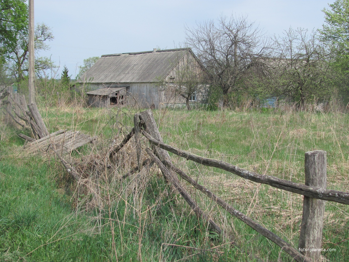 На батьківщині діда.