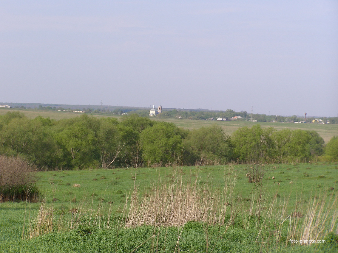 Село Новопанское вид с деревни Воронки