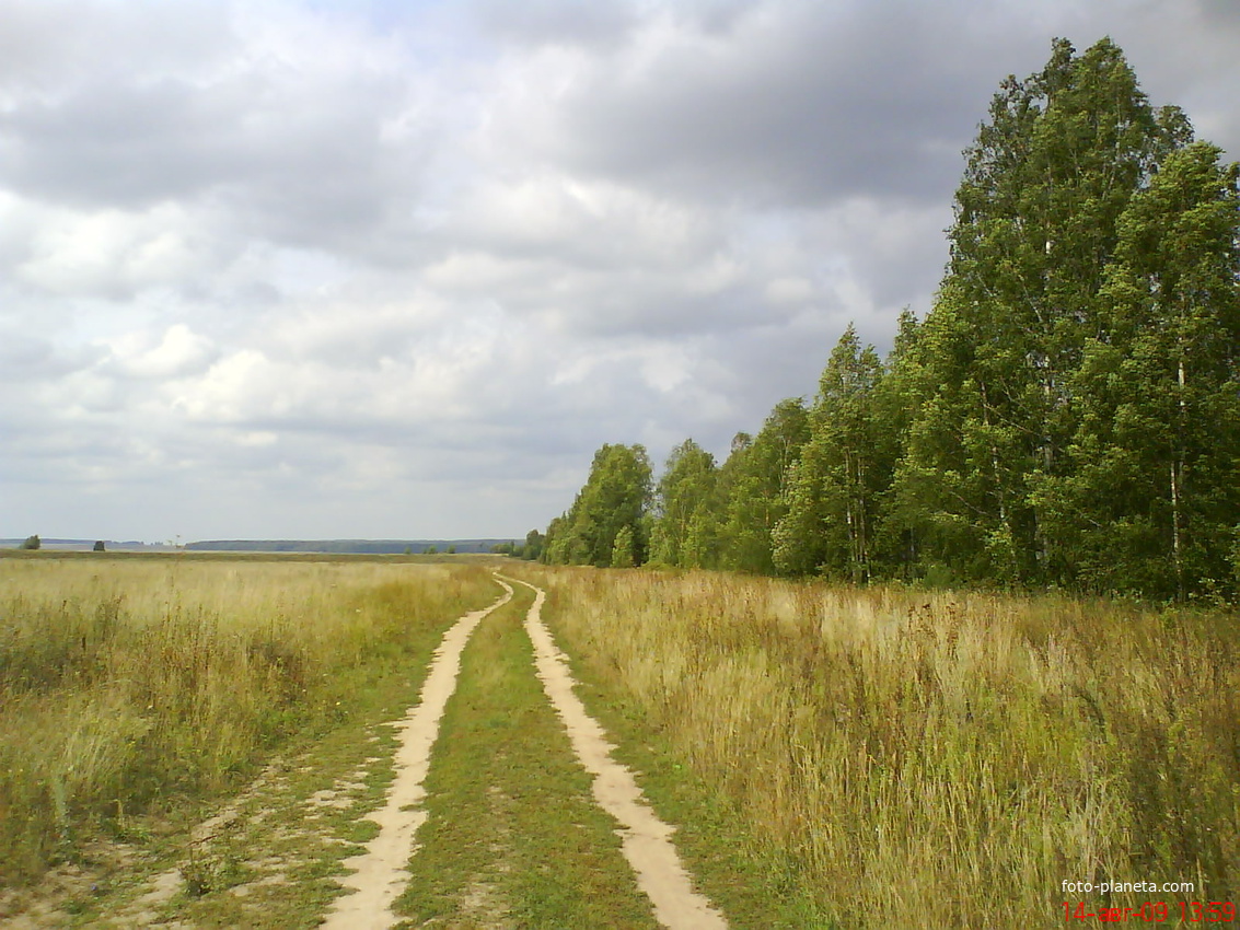 Дорога в савиново