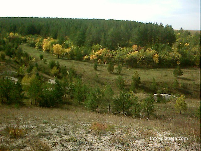 Ранняя осень в Куликовском лесу
