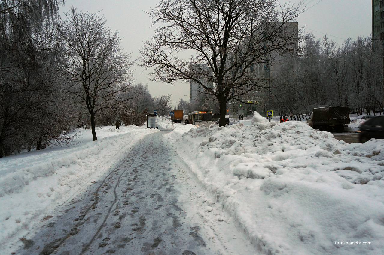 Михневский проед