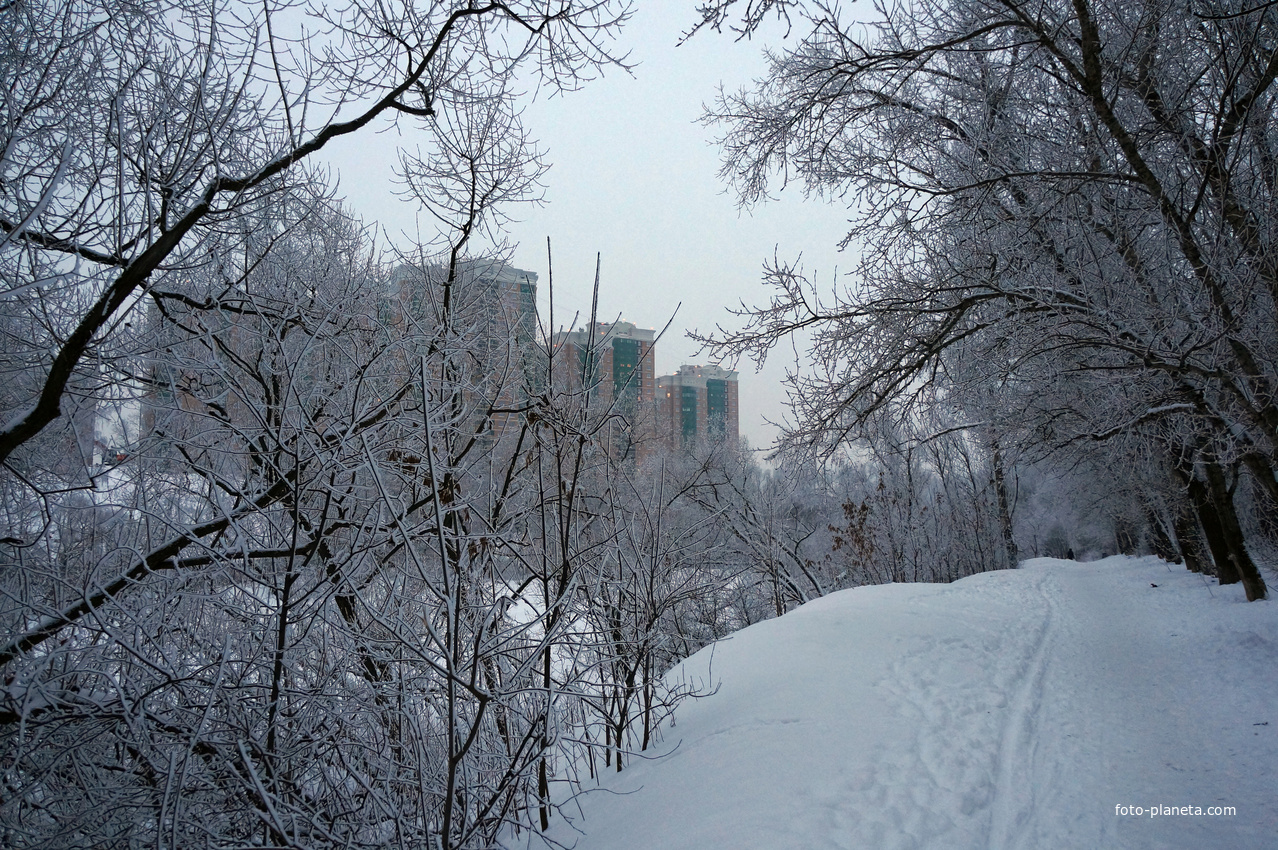 У Загорьевского пруда