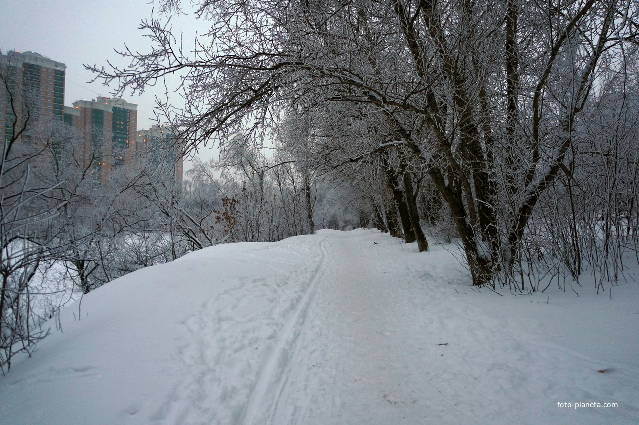 Аллея у пруда