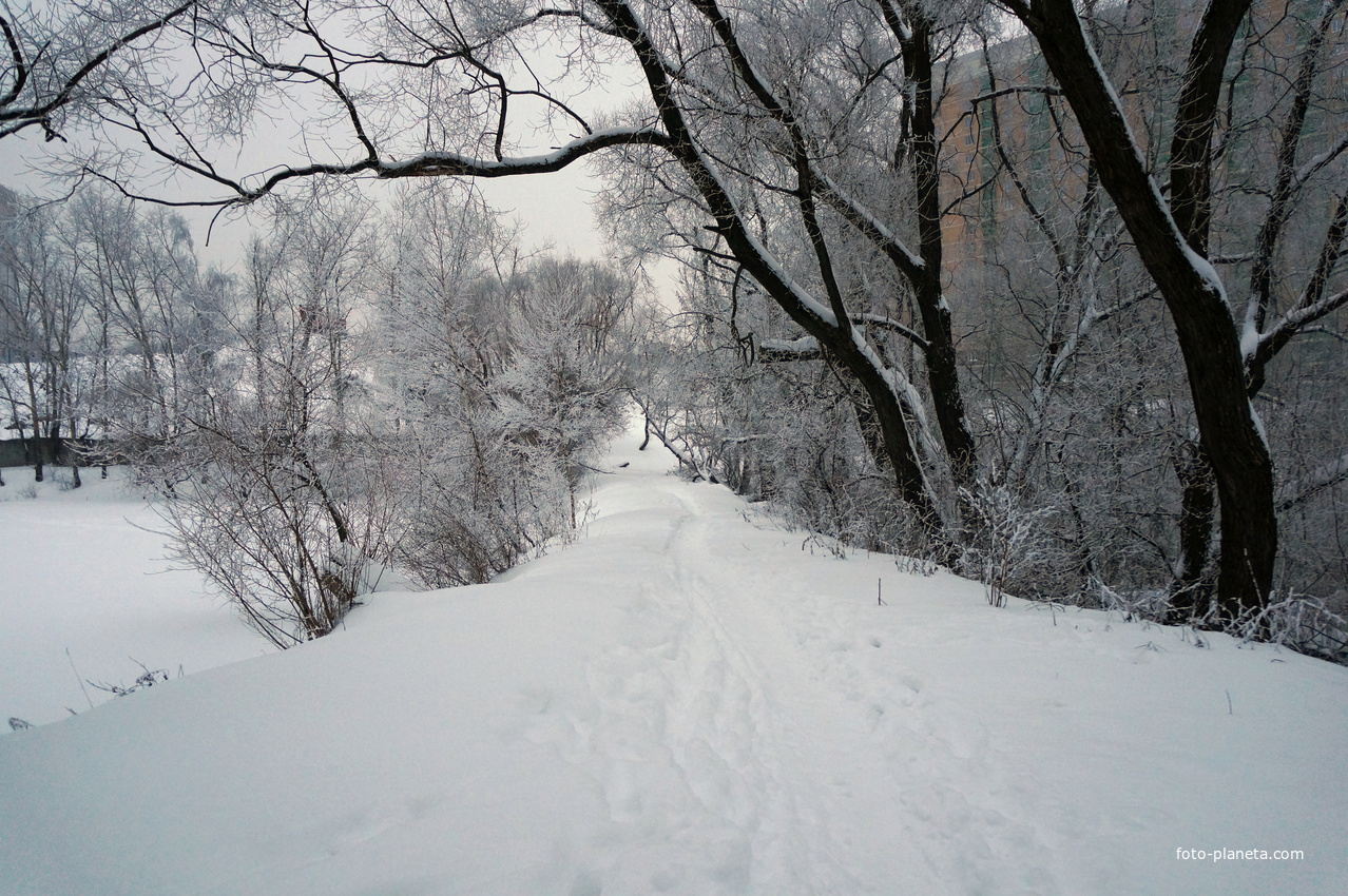 Старая прудовая платина