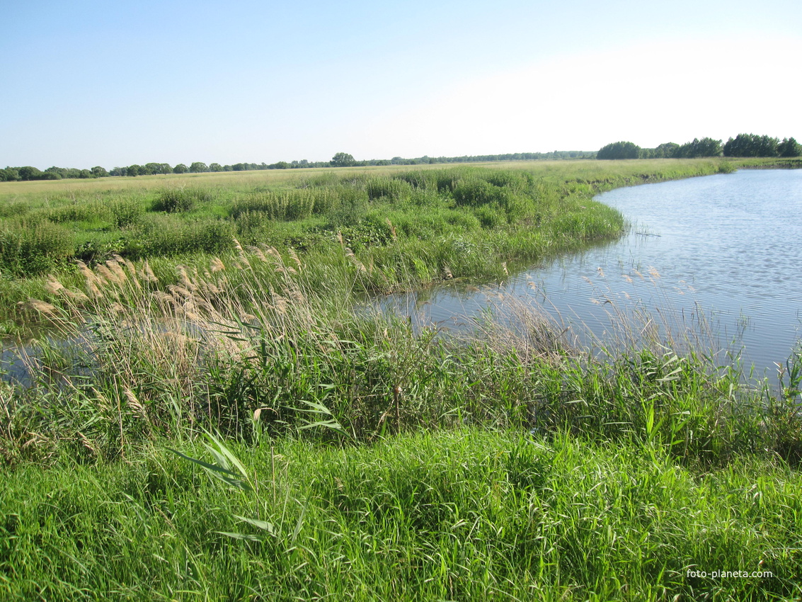 Бондарский район с. Верхнее Нащекино