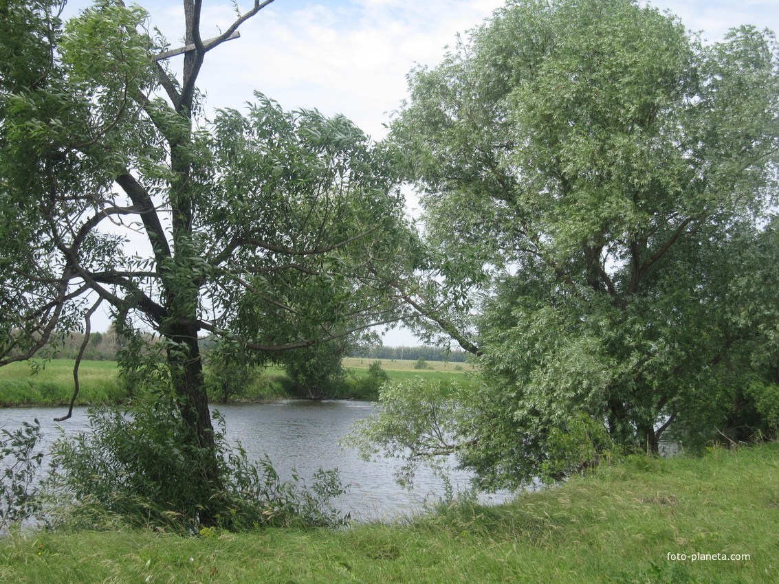 село рамонье аннинского района