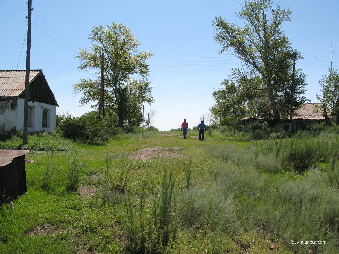 Кайнарское