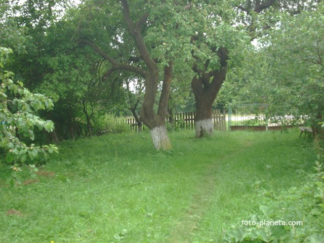 сад Мороз Т.И.