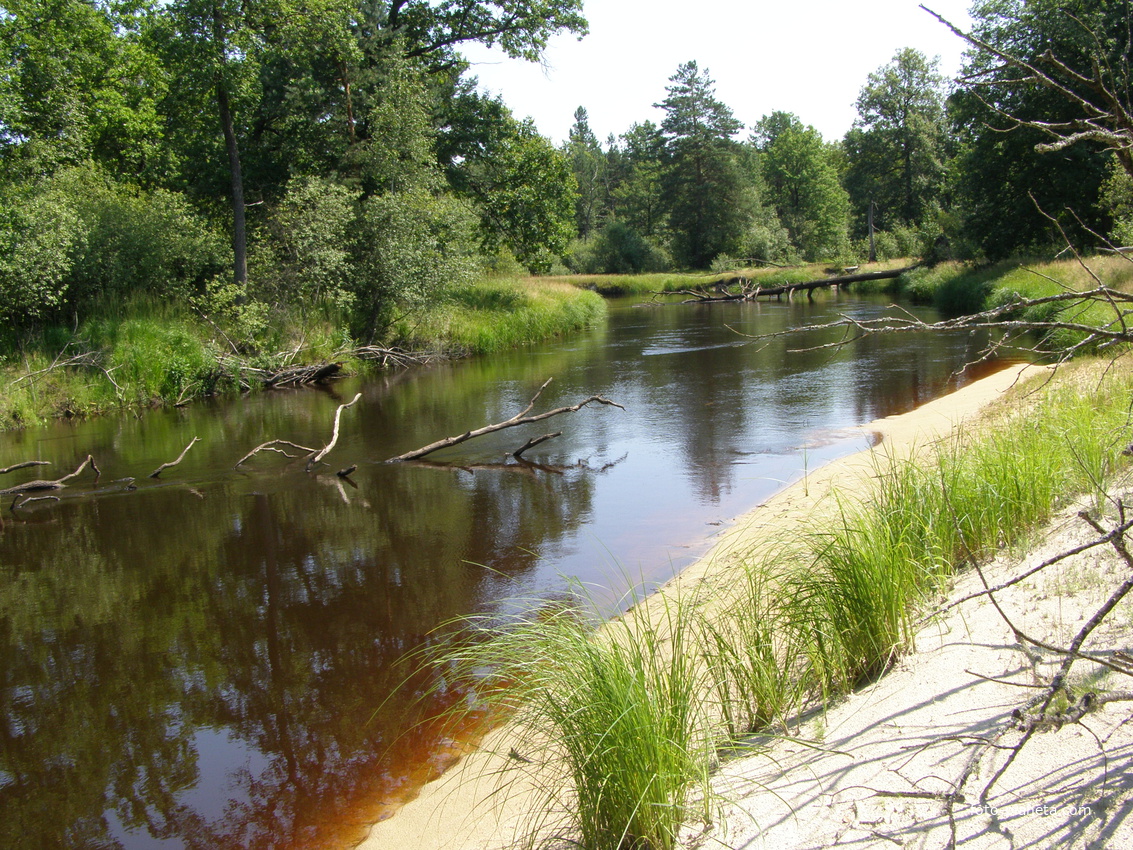 Ствига-лесная река