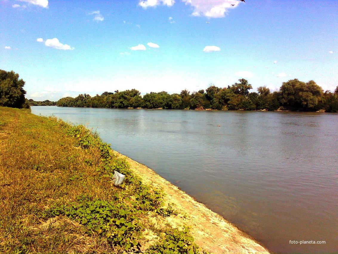 Река Протока