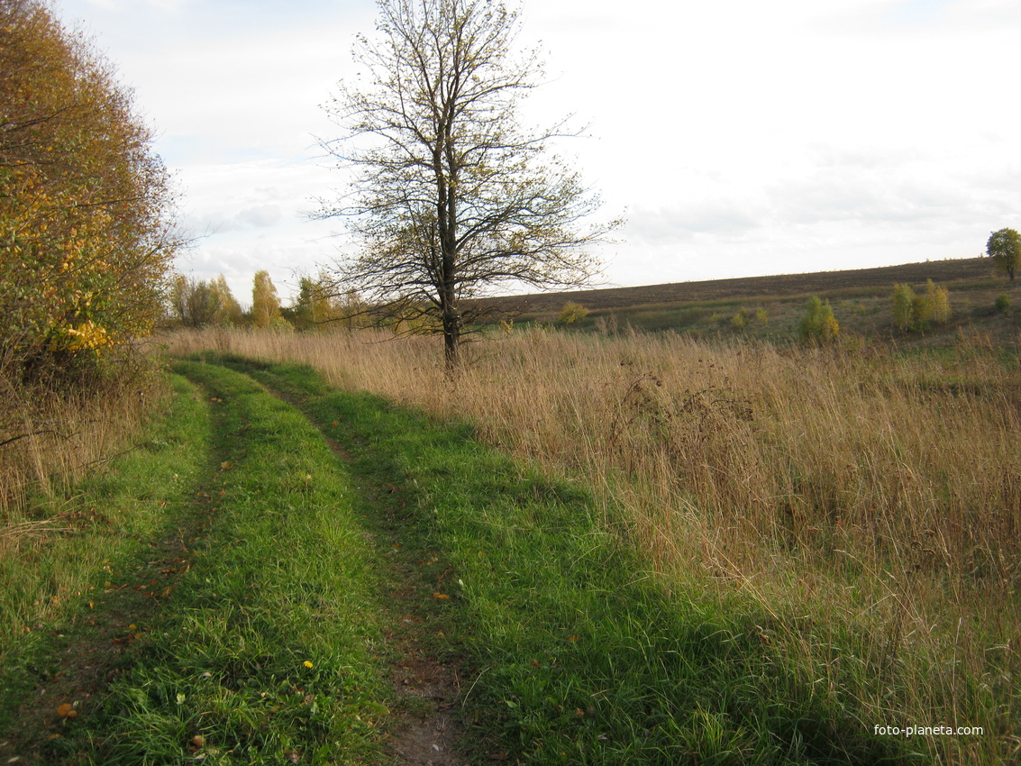 дорога к дому