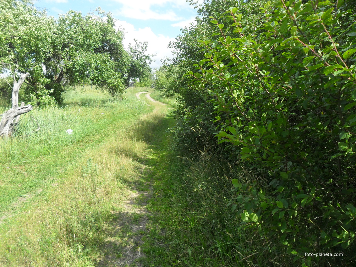 Сад Сякерычы