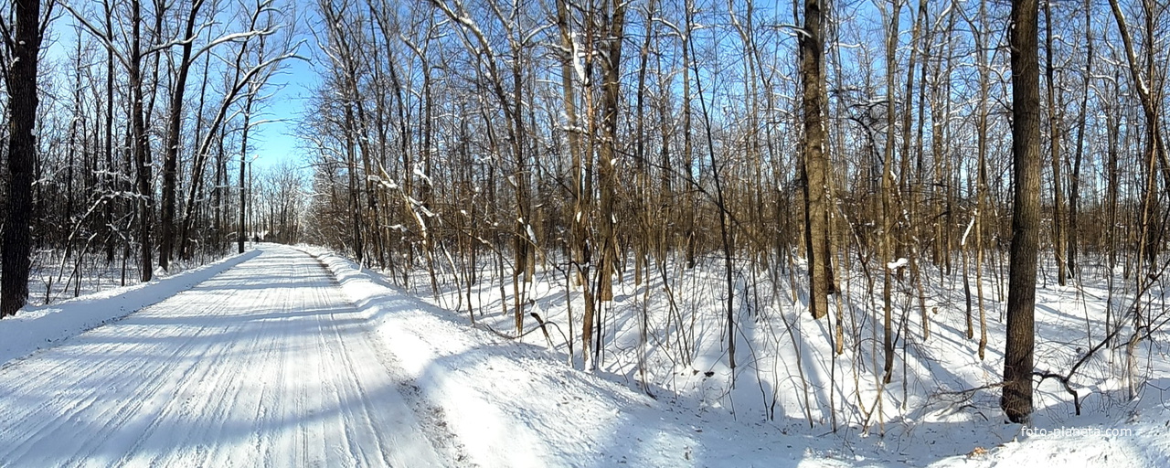 Окрестности Бутурлиновки зимой