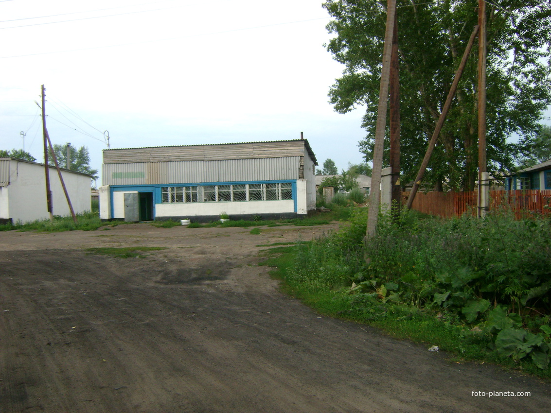 Погода плотава алтайский край. Чуманка Алтайский край Баевский район. Село верчуманка Алтайский край-Баевский район. Счуманка Алтайского края Баевского района. Верх-Пайва Баевского района Алтайского края.