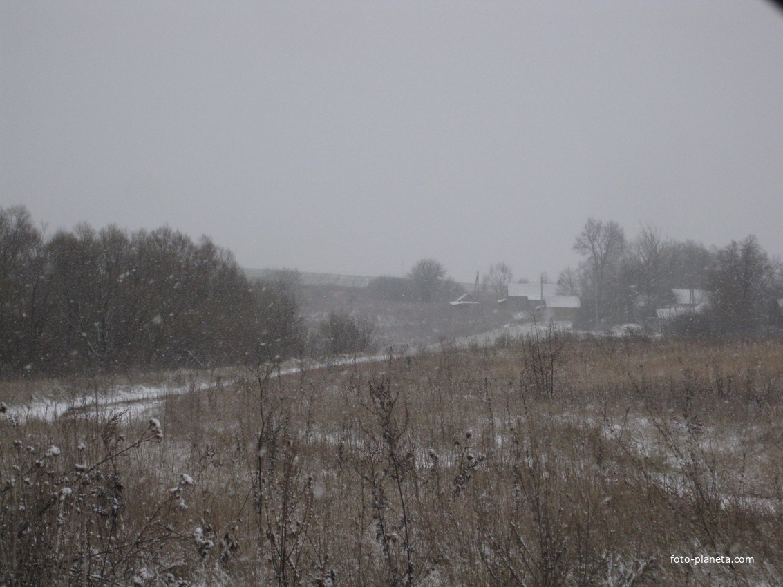 Зима в д.Раевка