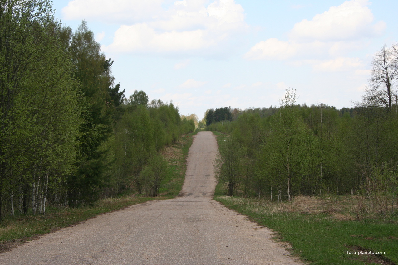 Дорога в деревню