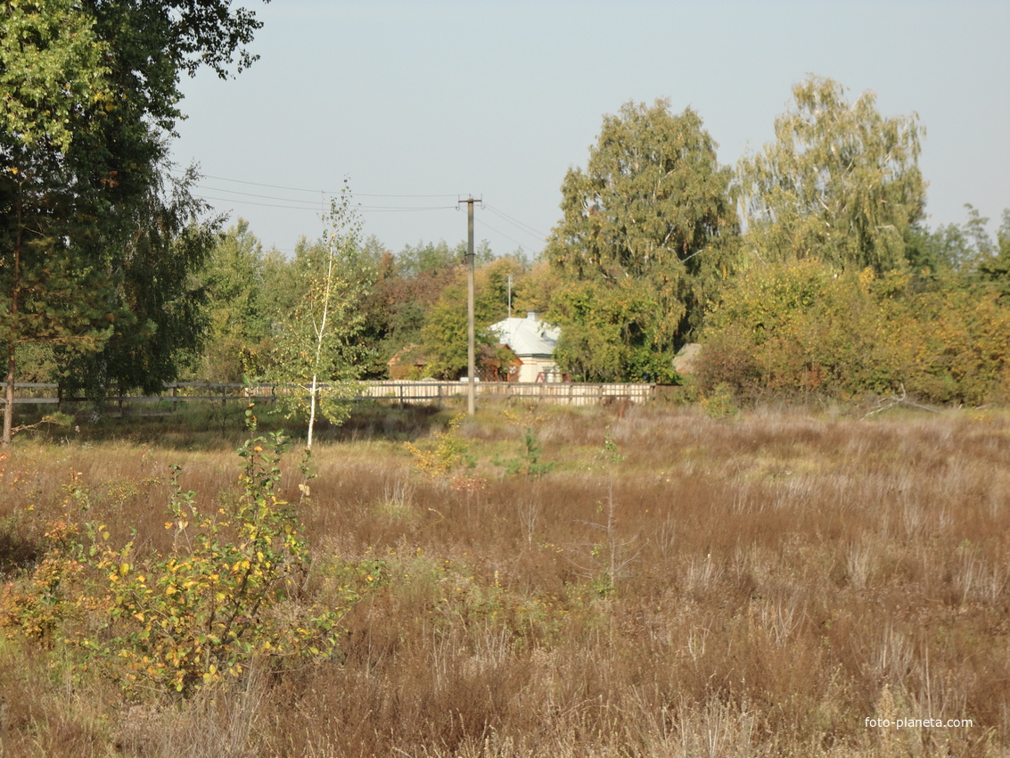 село Заньки осенью (возле дороги на Великую Кошелевку)