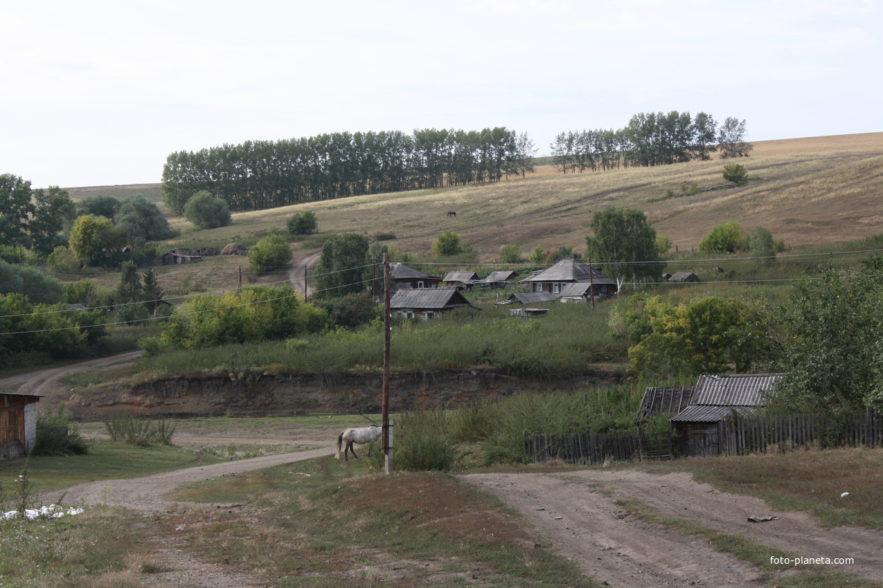 Погода села целинного. Село Шалап Алтайский край. С Шалап Целинного района Алтайского края. Ложкино Целинный район Алтайский край. Алтайский край, Целинный р-н, с. Шалап.