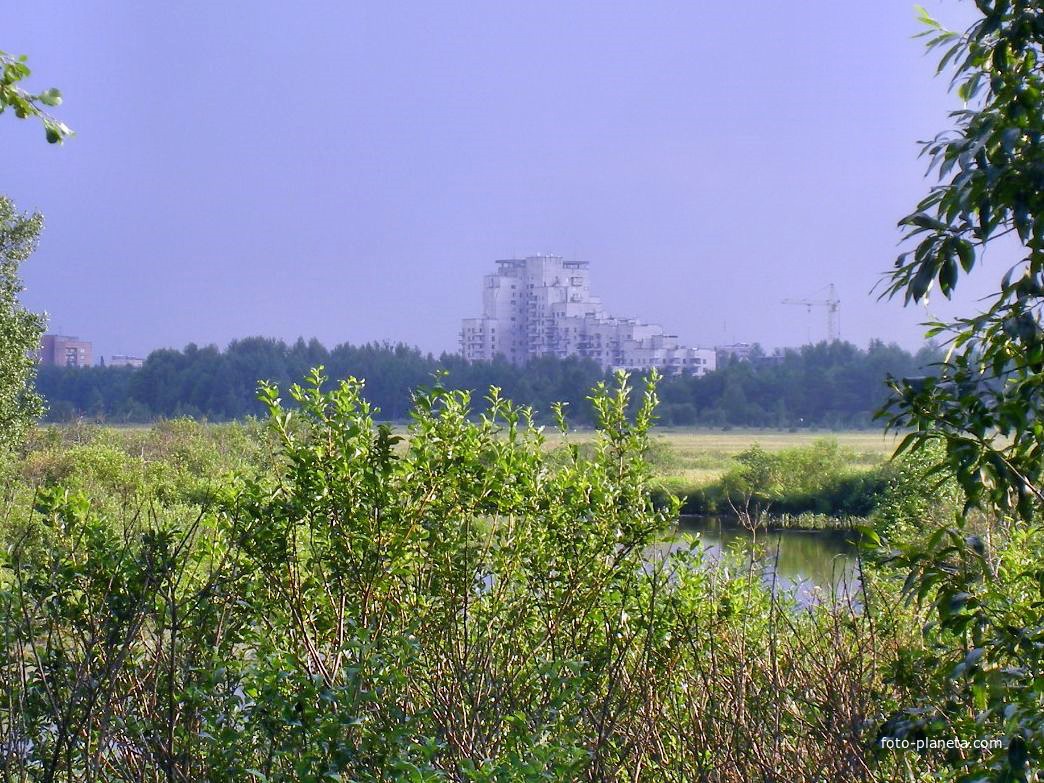 Вид на Сестрорецк с болота