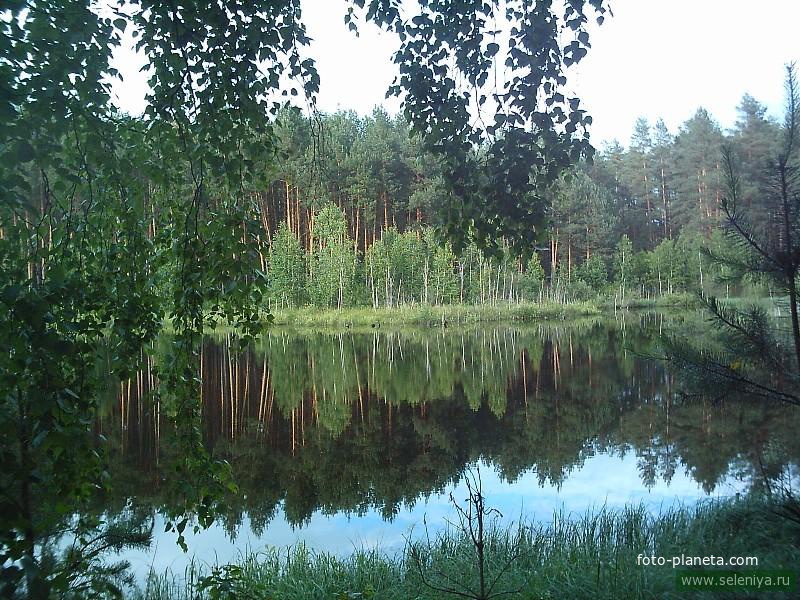 Озеро &quot;Покойное&quot; в 4 км. от села в лесу. Одно из любимых и красивых мест для отдыха.