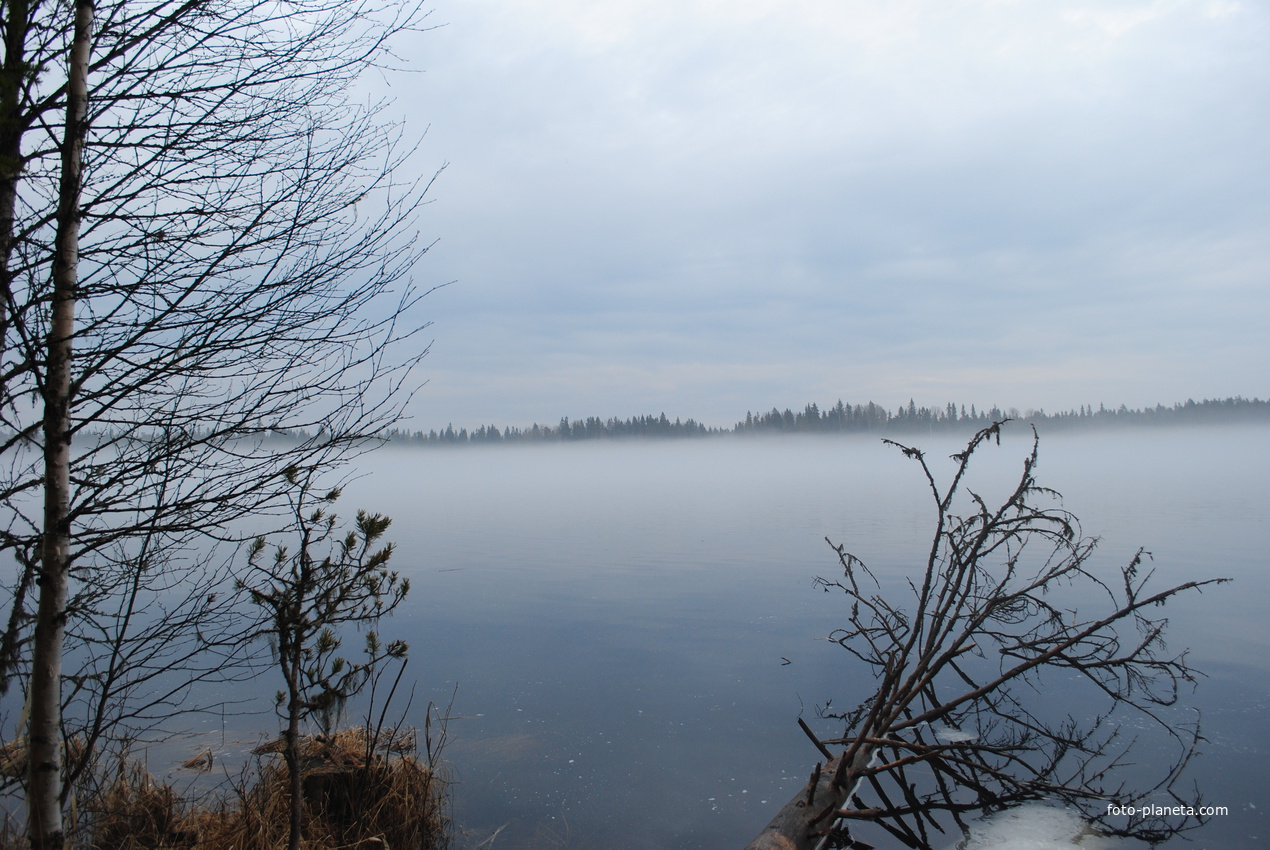 Сухая Водла туман весною
