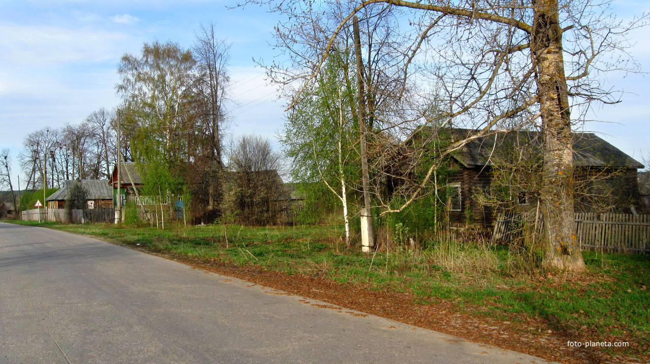 с. Пелегово (весна)