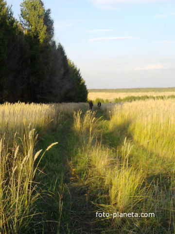 Приволье. В округе