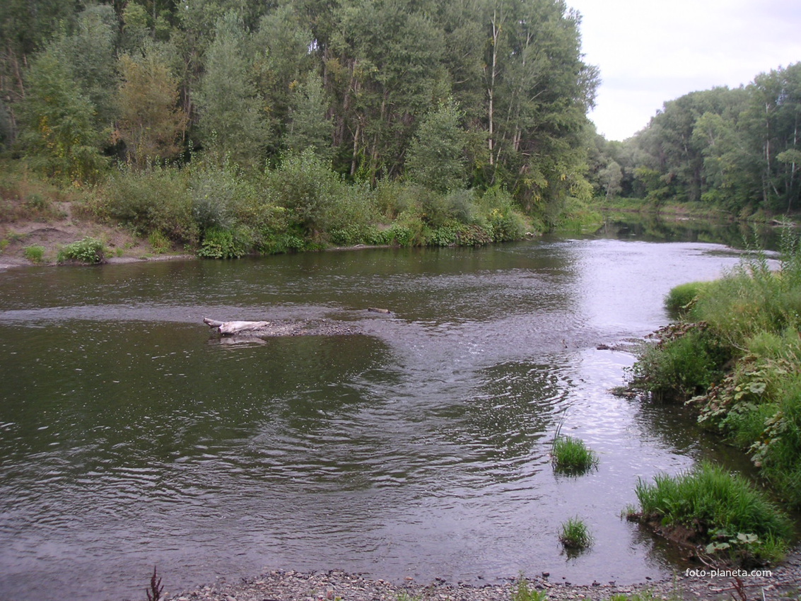 Сакмара, перекат