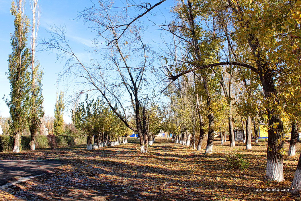 сквер у дома культуры